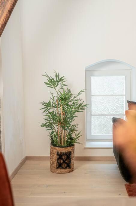 Appartement Gemuetliche Oase Im Denkmal